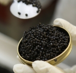 Caviar d'Aquitaine et Rillettes d'Esturgeon